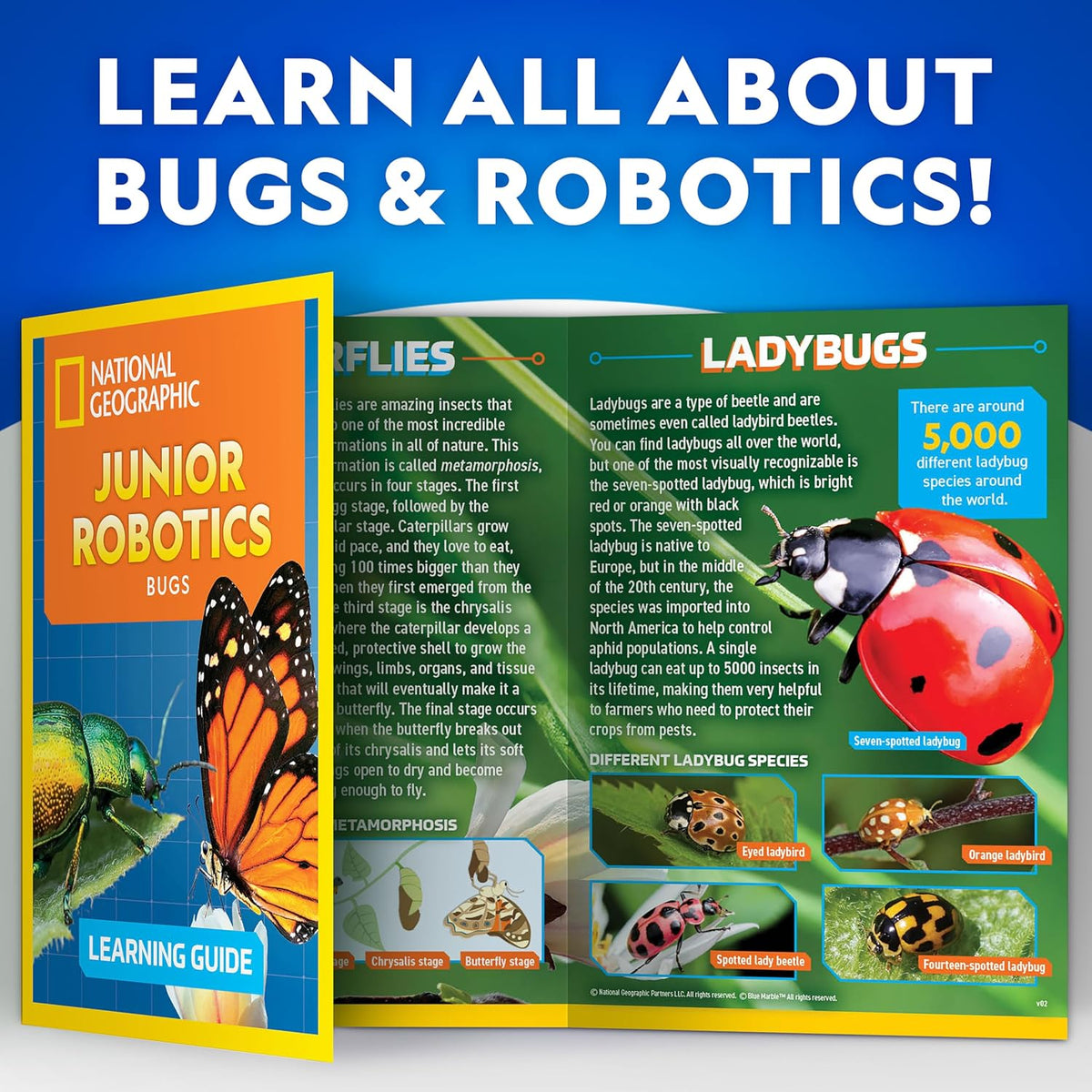 National Geographic Junior Robotics: Bugs
