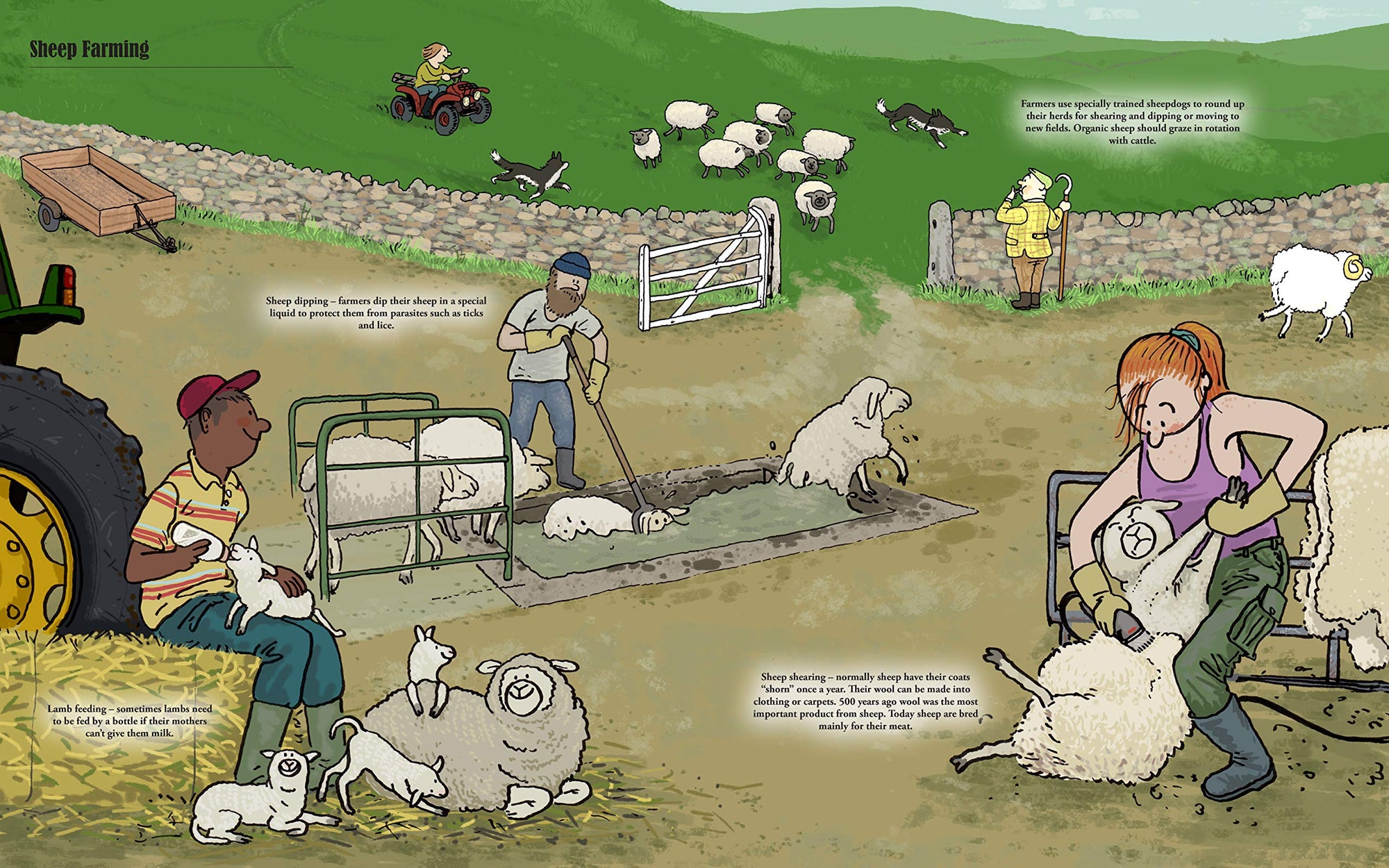 Big Farms, Little Farms: A Visual Guide to Farms and Farm Animals