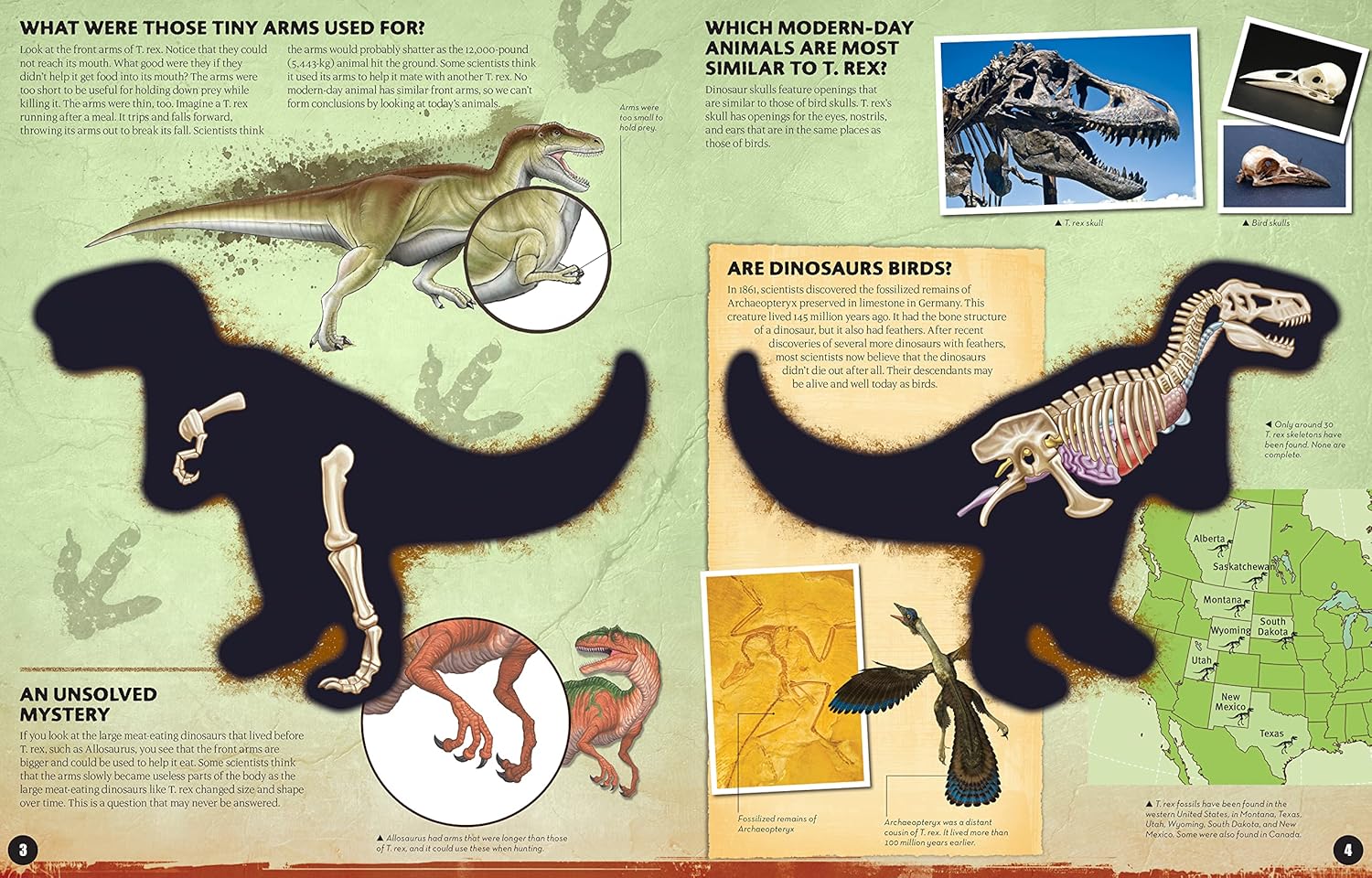 Inside Out: T-Rex