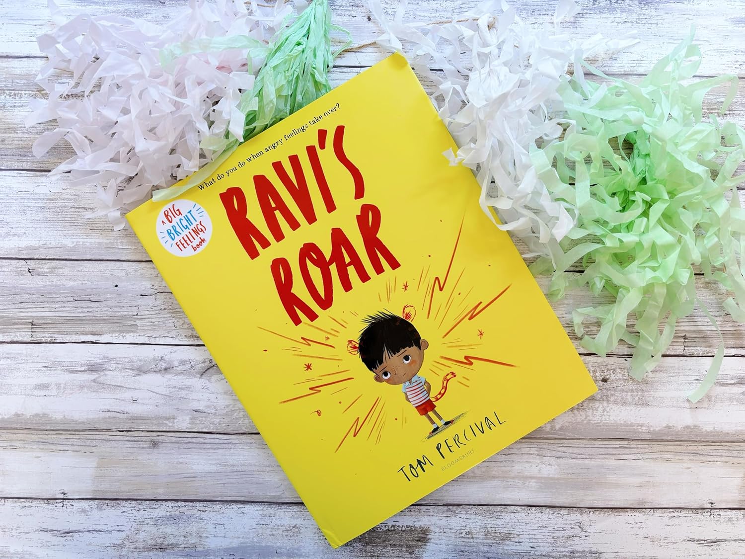 A Big Bright Feelings Book: Ravi's Roar