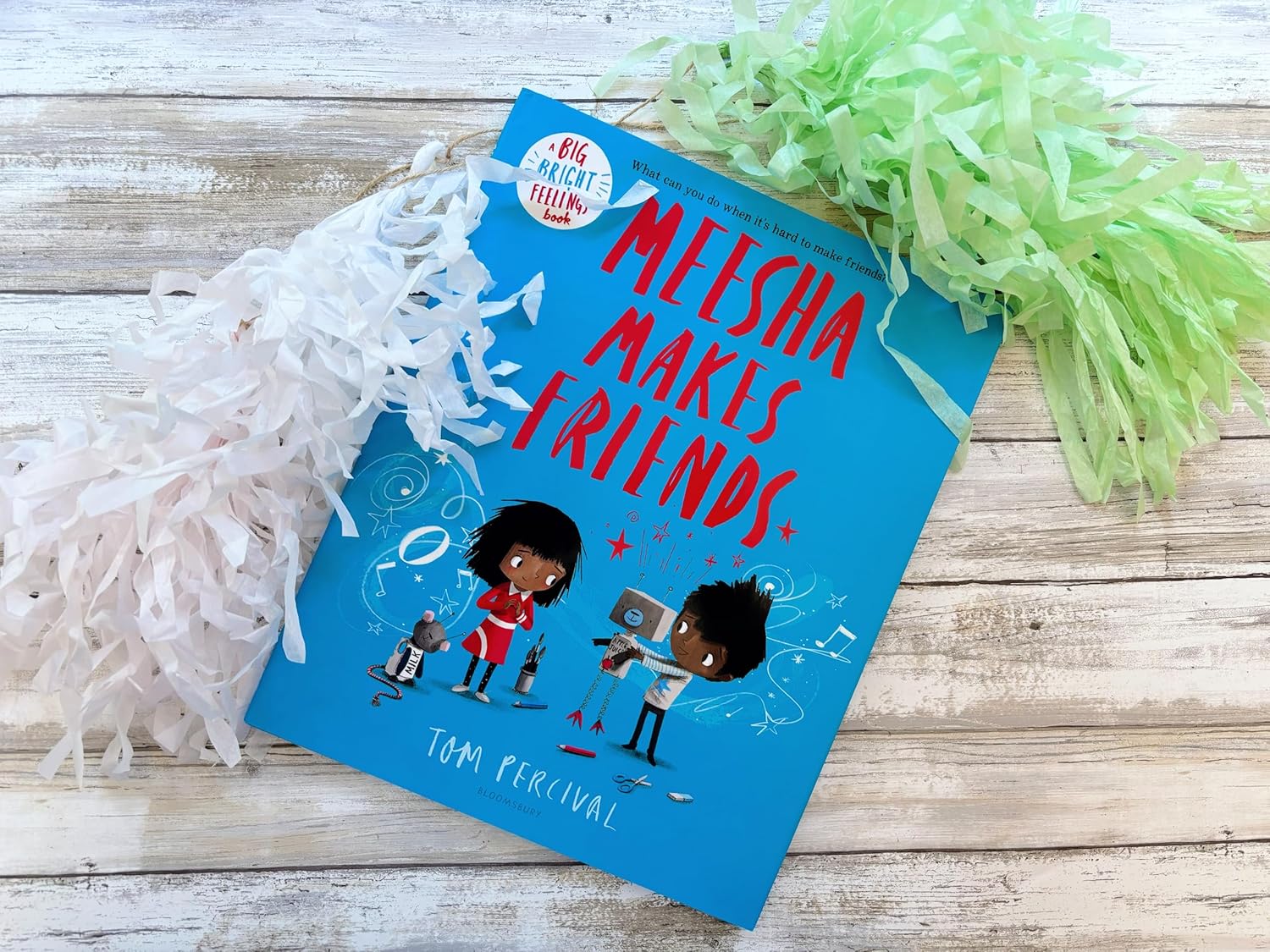 A Big Bright Feelings Book: Meesha Makes Friends