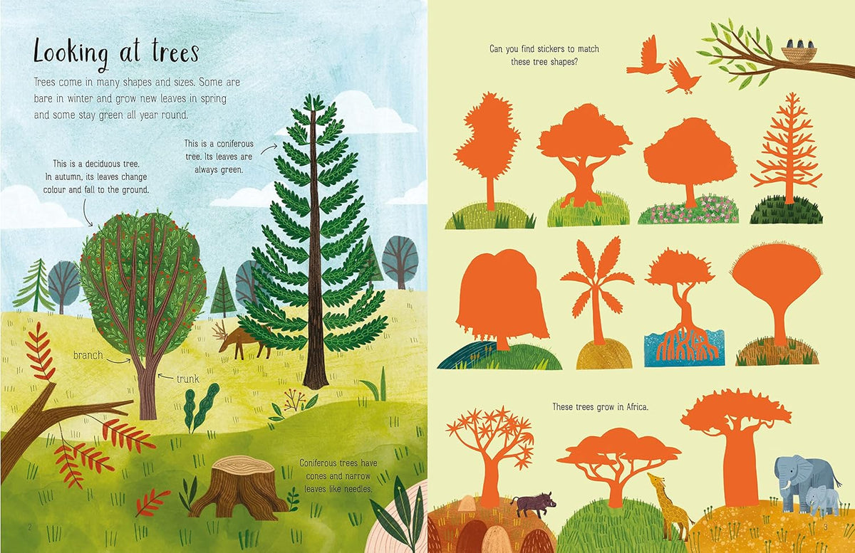 Usborne First Sticker Book: Trees