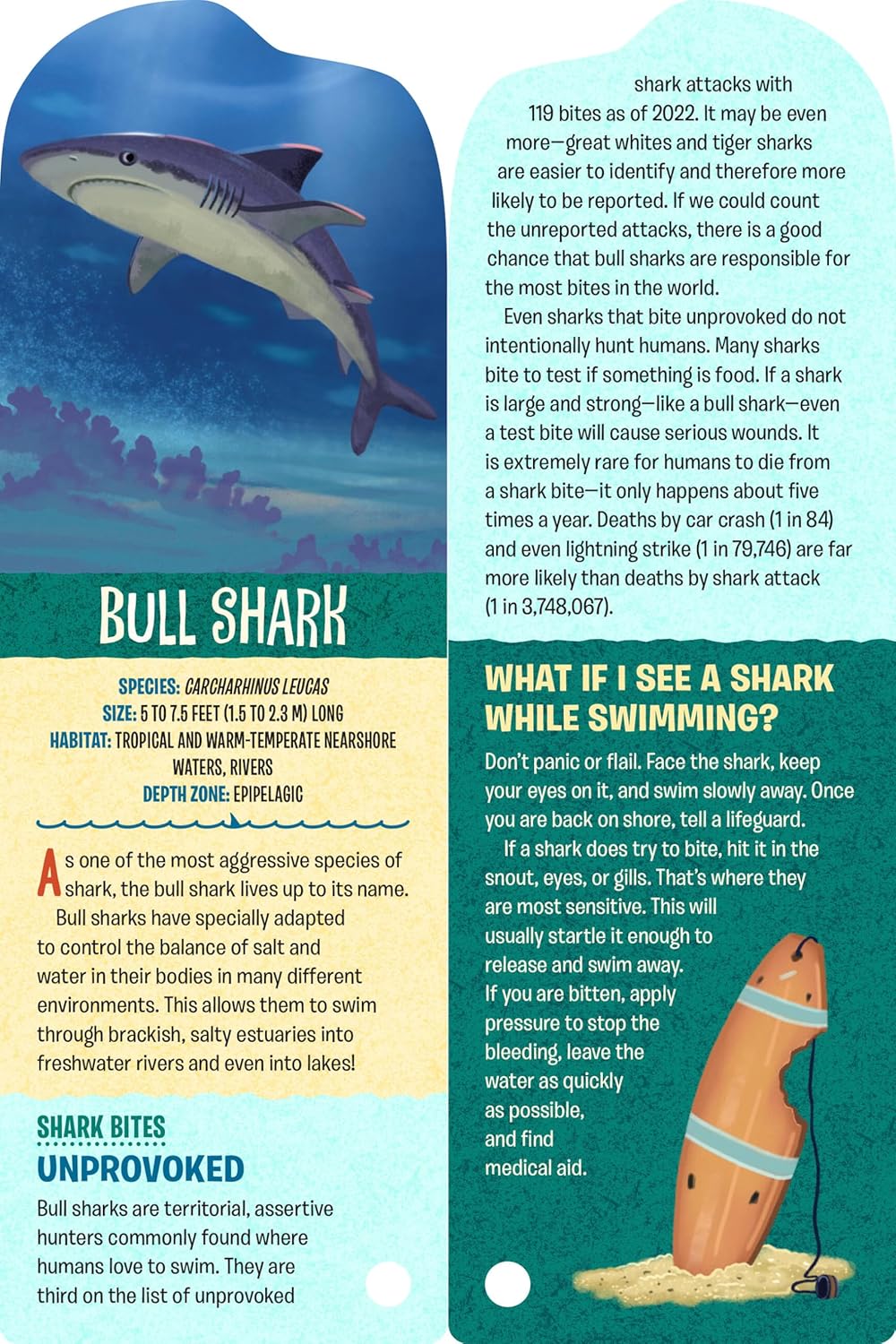 Fandex Kids: Sharks