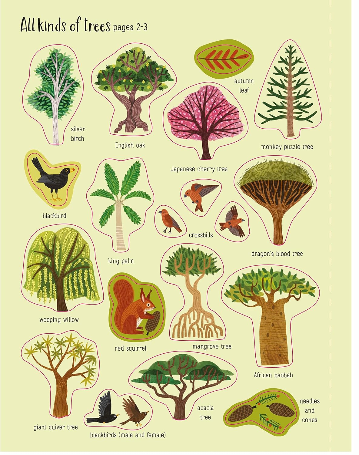 Usborne First Sticker Book: Trees