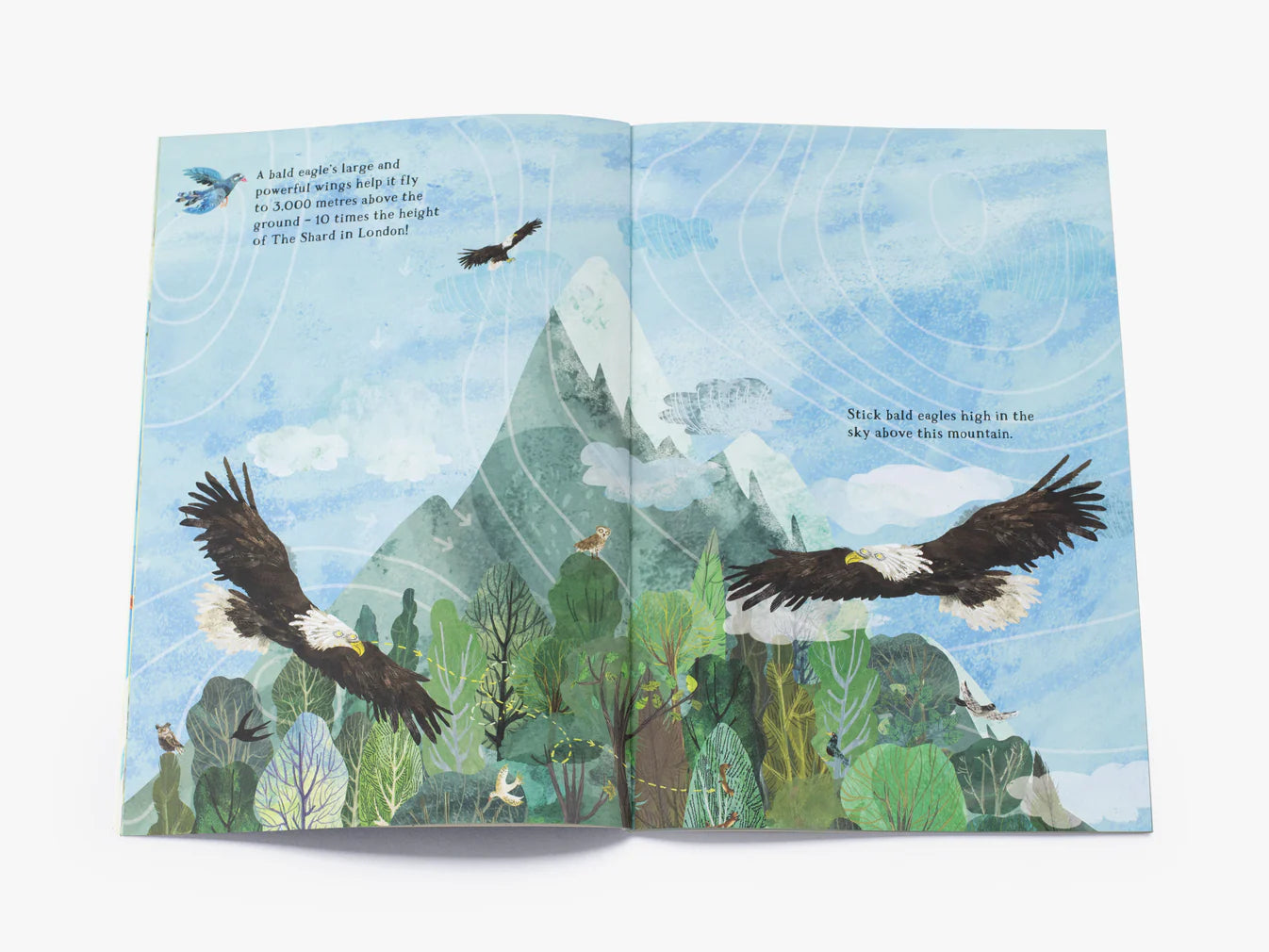 The Big Sticker Book of Birds by Yuval Zommer