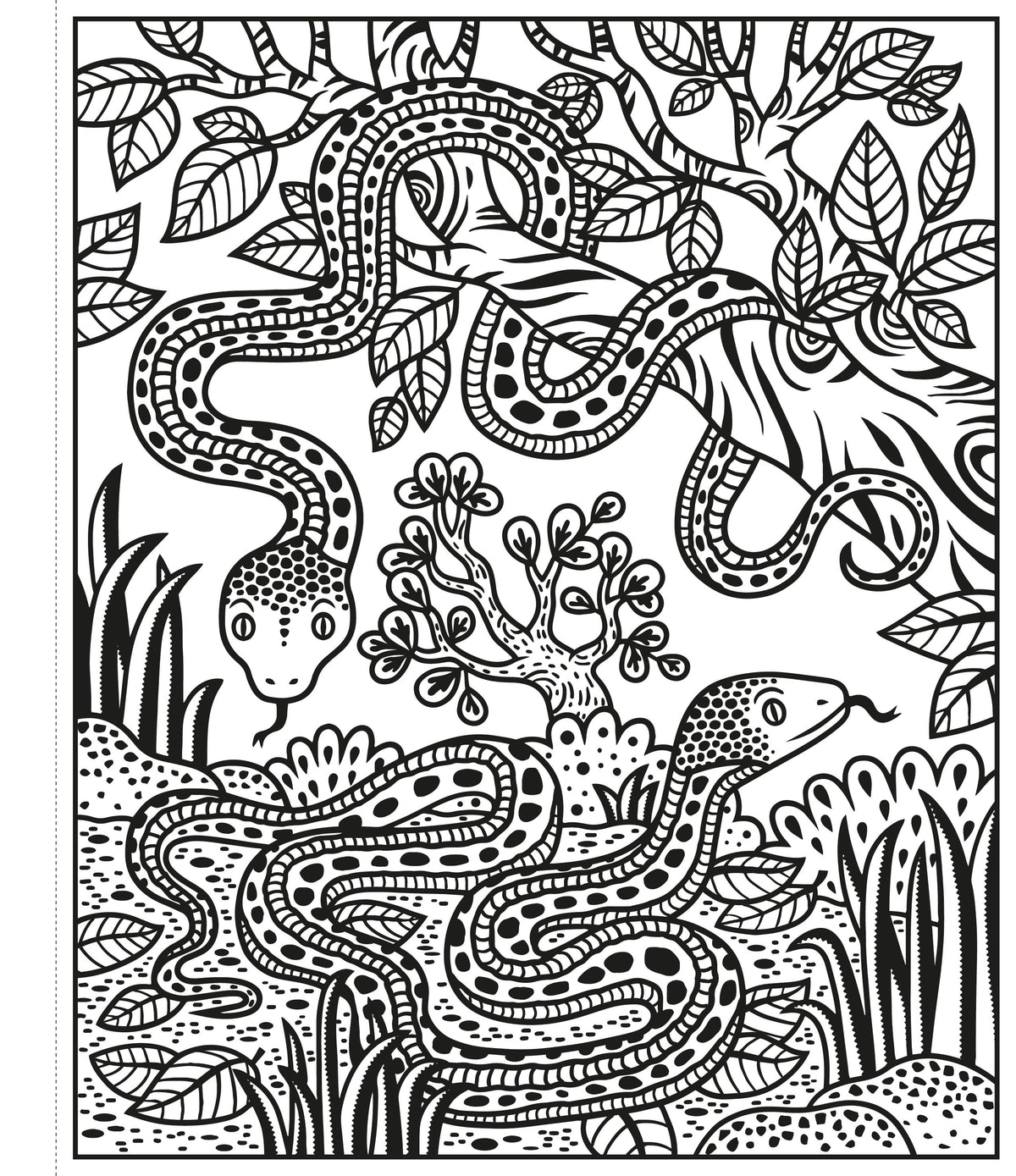 Usborne Magic Painting Book: Zoo
