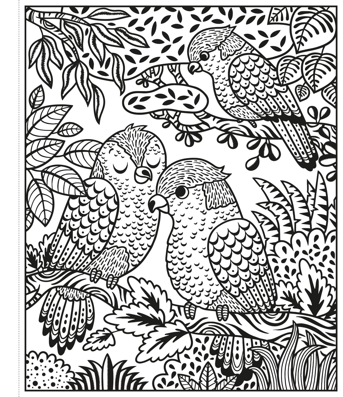 Usborne Magic Painting Book: Zoo