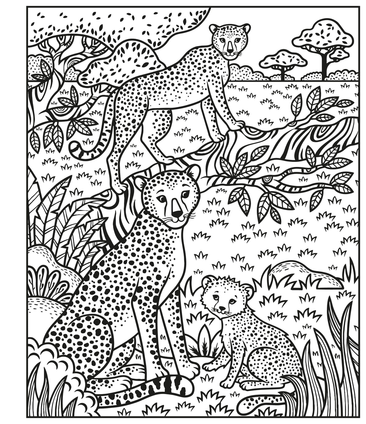 Usborne Magic Painting Book: Animals