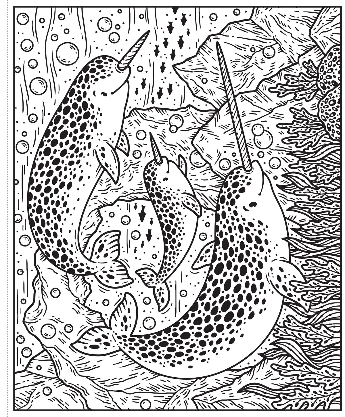 Usborne Magic Painting Book: Narwhals And Other Sea Creatures