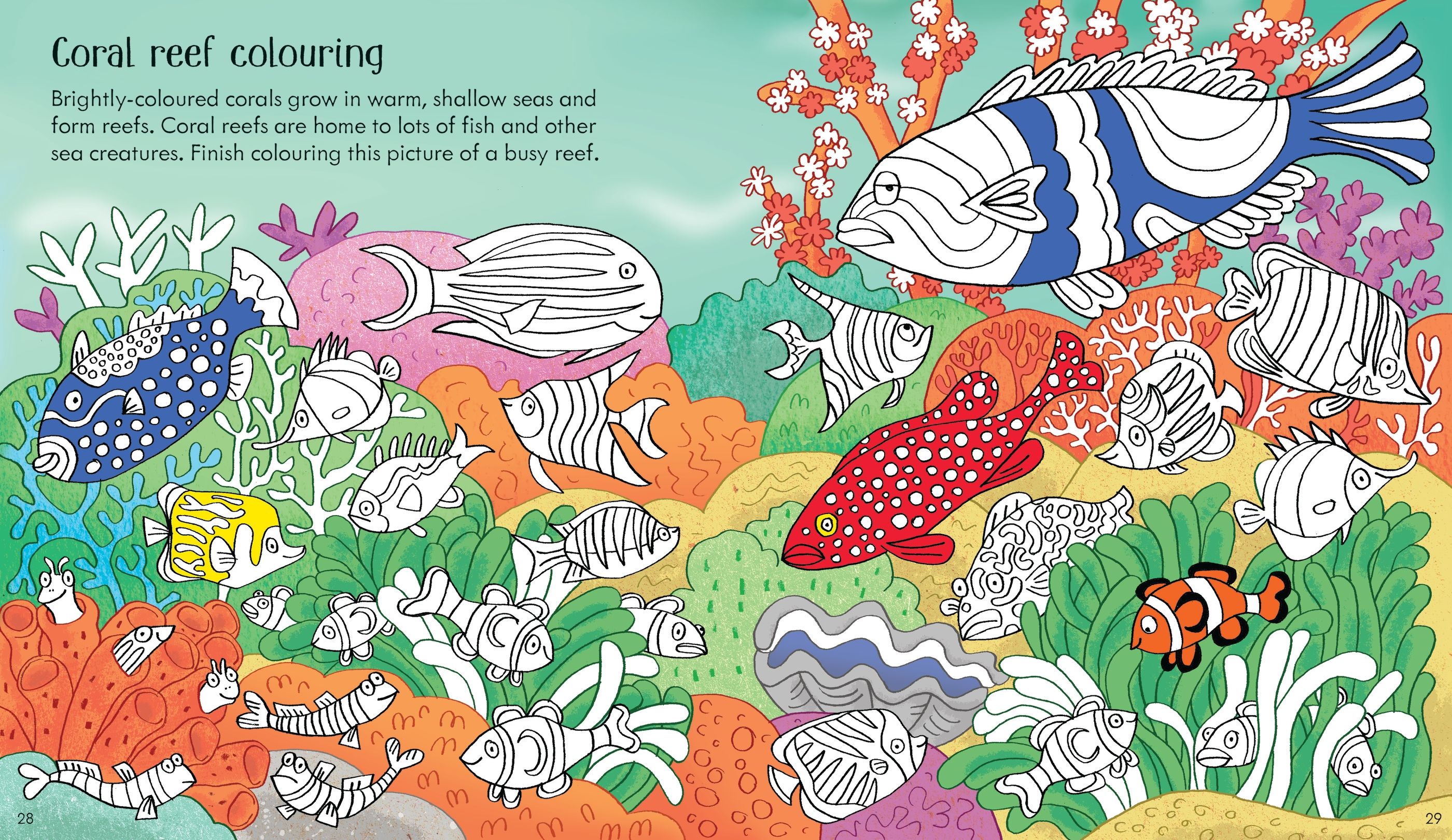Usborne Little Childrens Under the Sea Activity Book