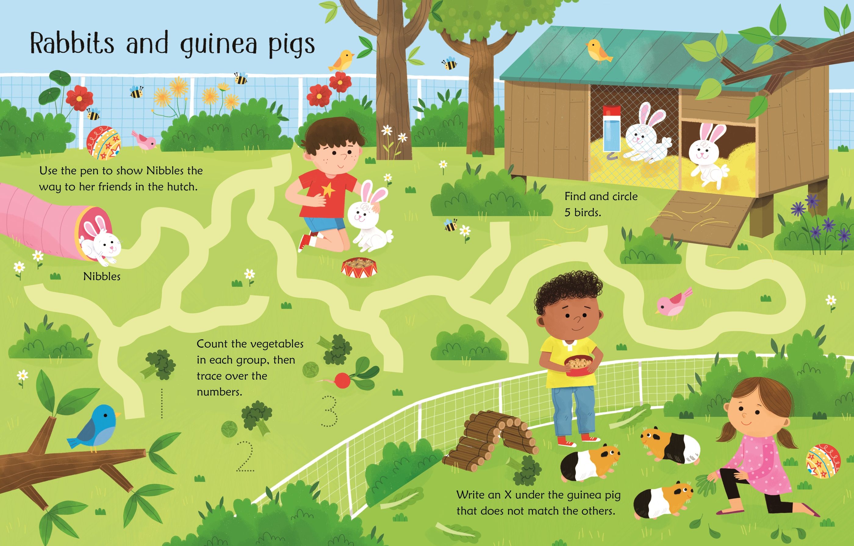 Usborne Wipe-Clean Pet Activities