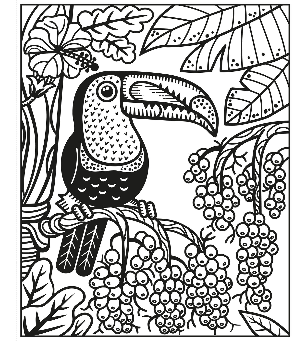 Usborne Magic Painting Book: Birds
