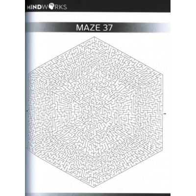 Mindworks Brain Training Mega Mazes