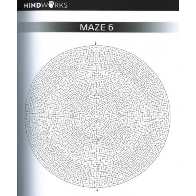 Mindworks Brain Training Mega Mazes