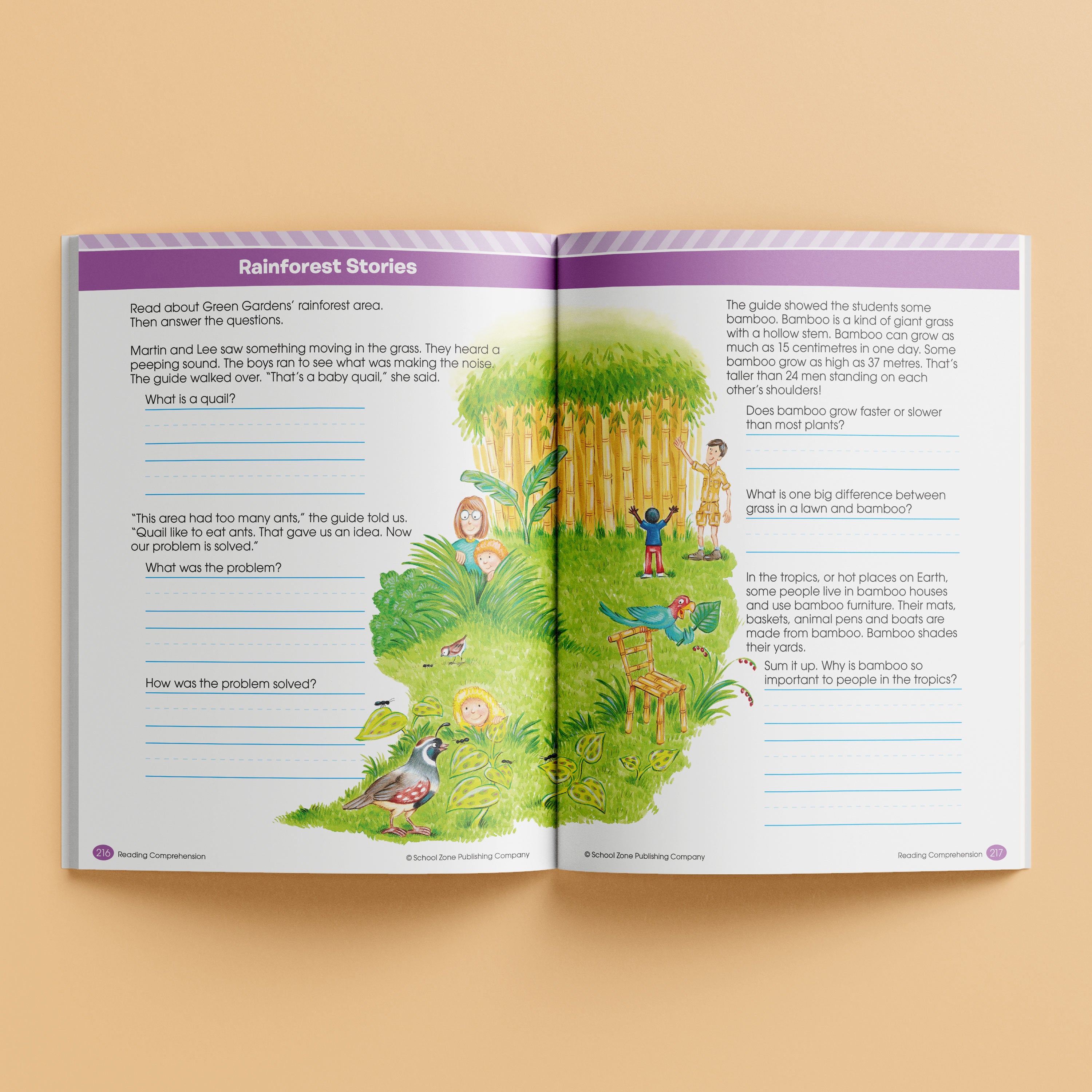 School Zone Giant Workbook Beginning Reading