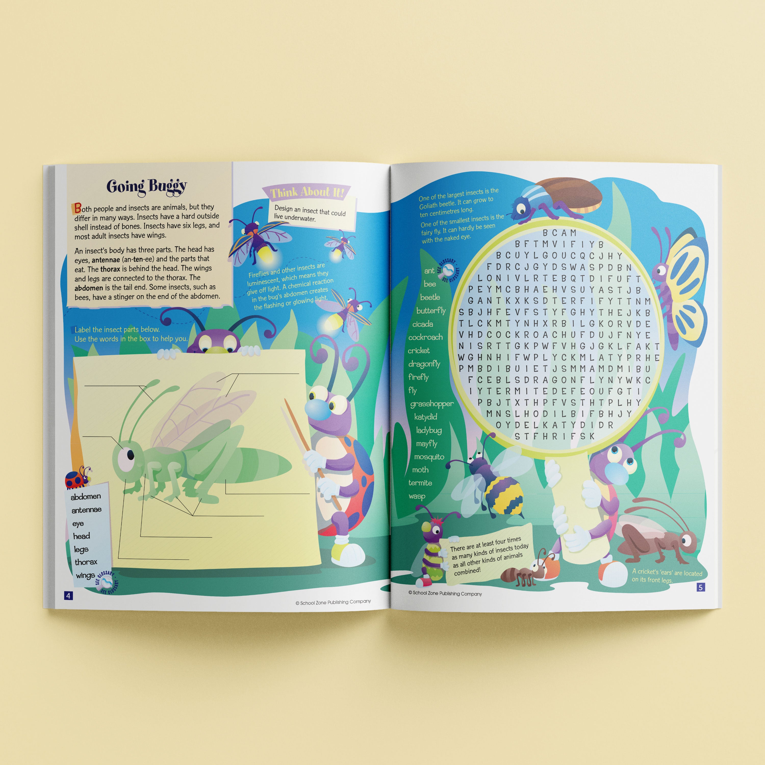 School Zone Word Searches An Activity Zone Book