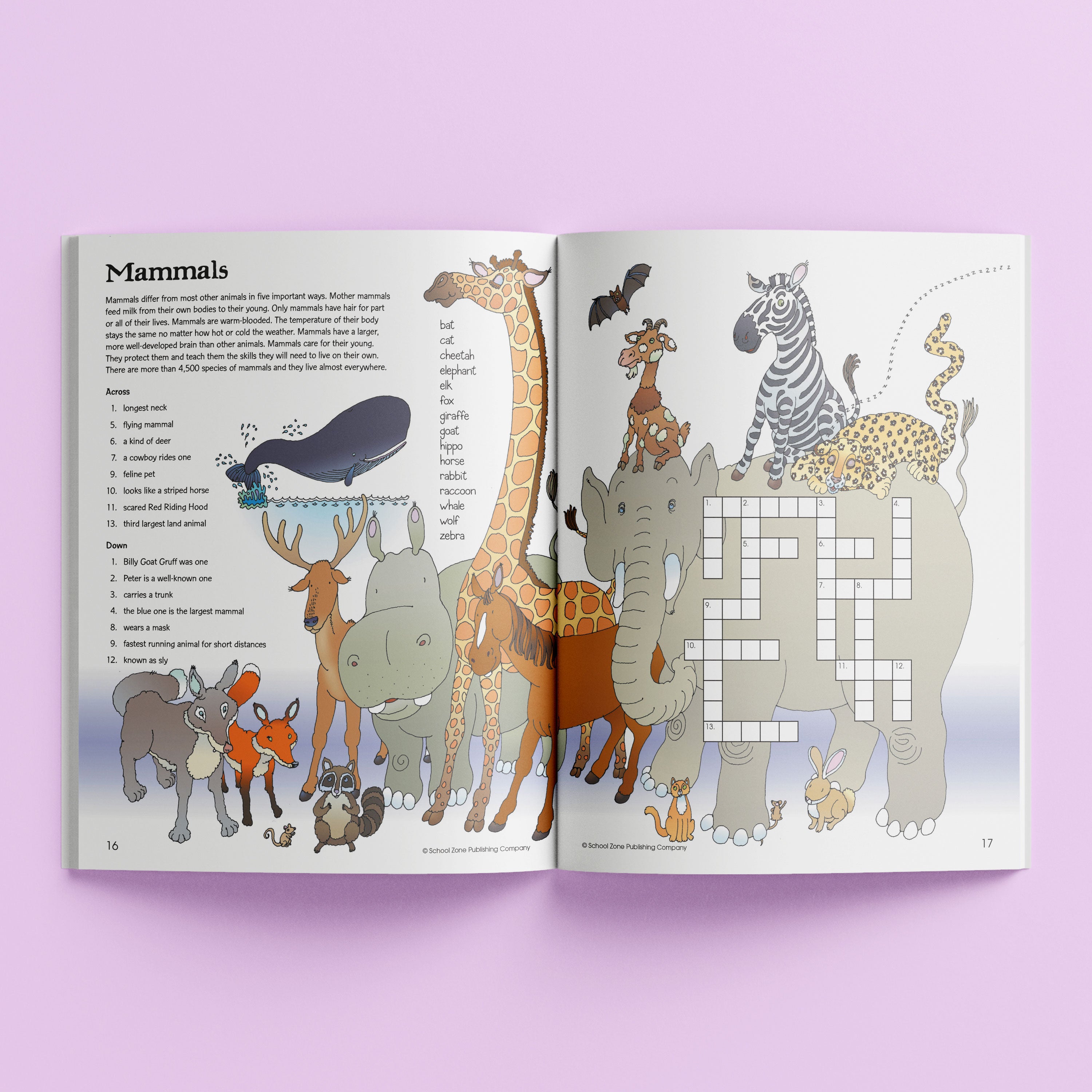 School Zone An Activity Zone Book: Crossword