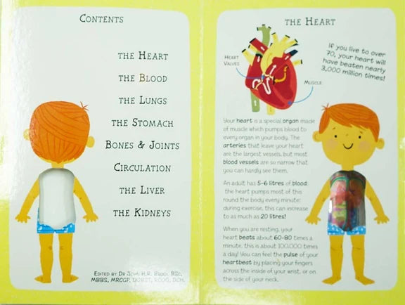 My First Human Body Book