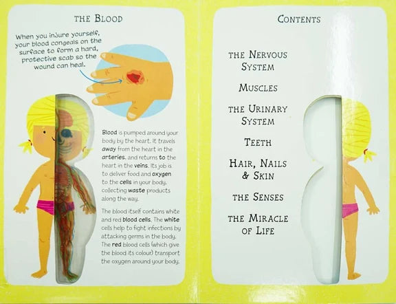 My First Human Body Book