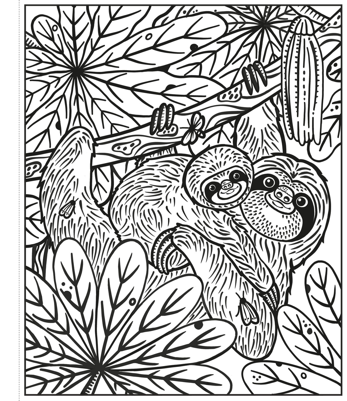 Usborne Magic Painting Book: Rainforest