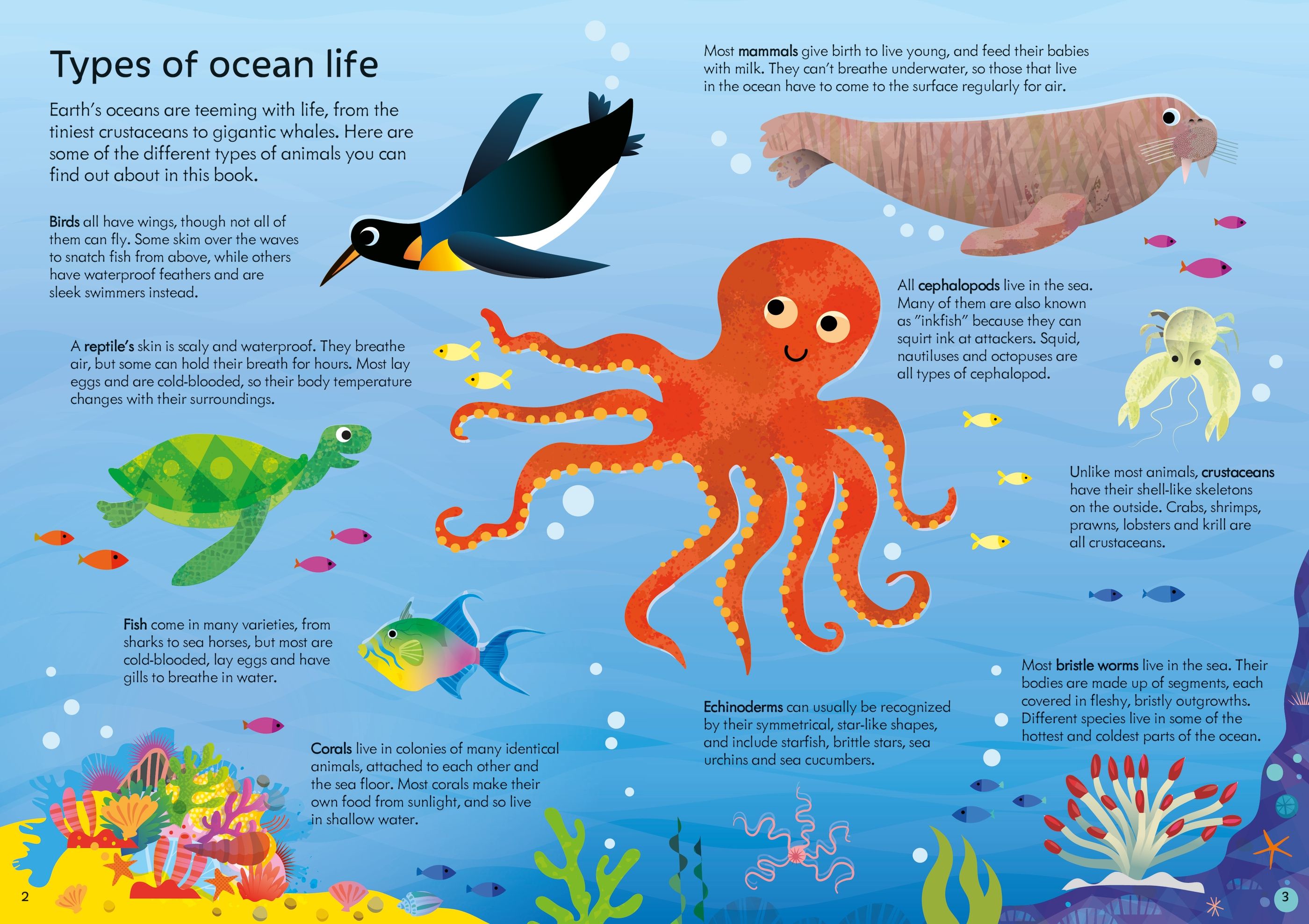 Usborne Book and Jigsaw: Oceans