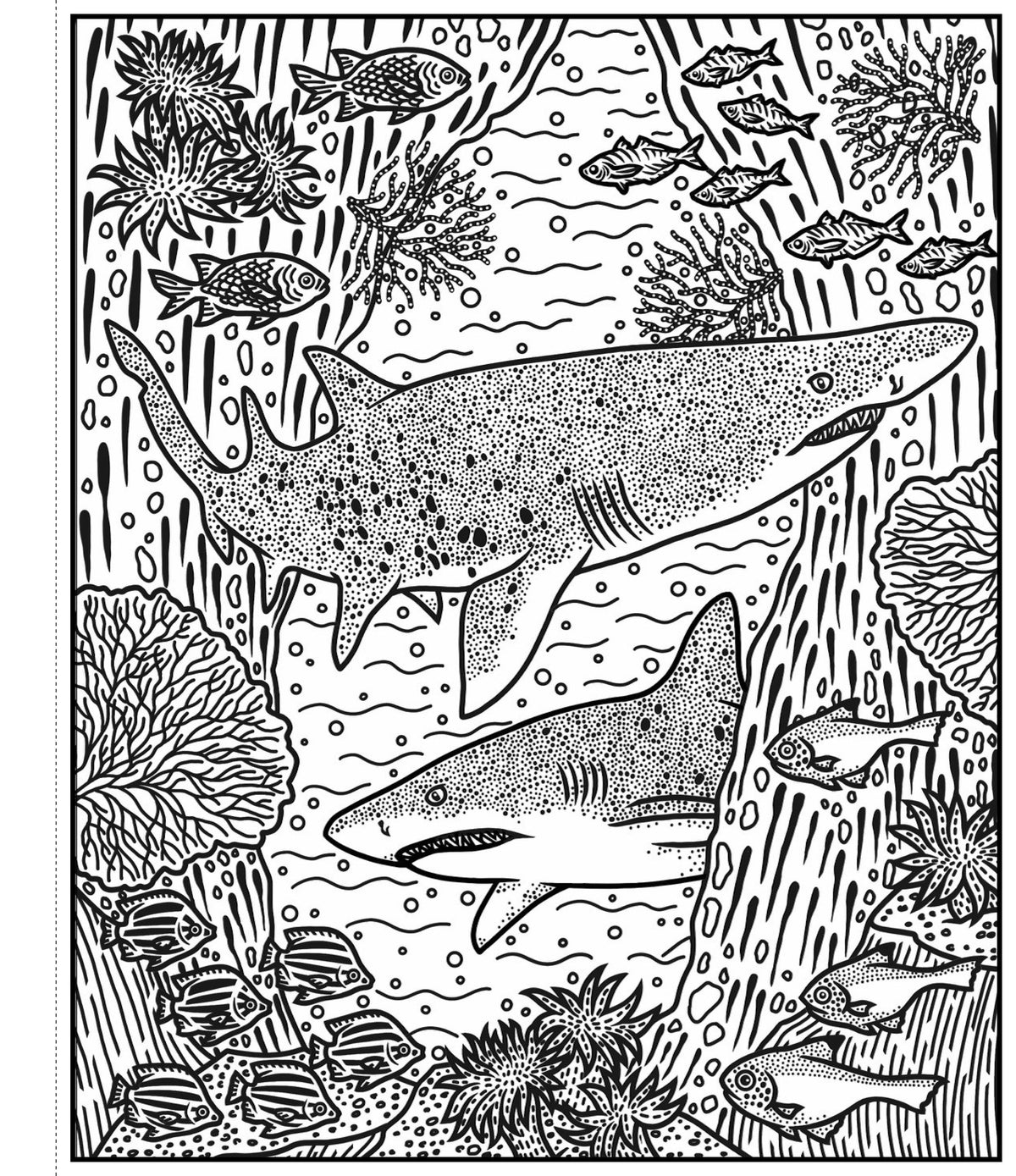 Usborne Magic Painting Book: Sharks
