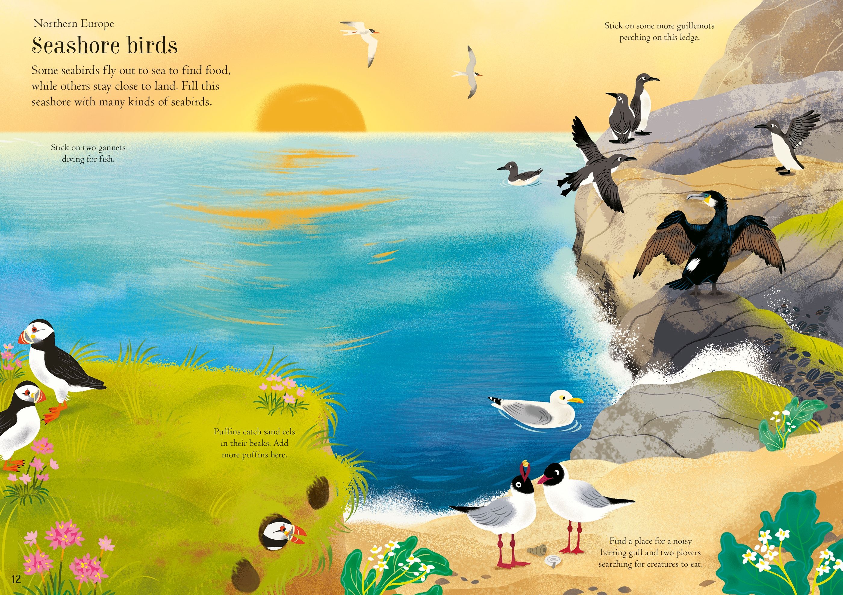 Usborne Little First Stickers Birds