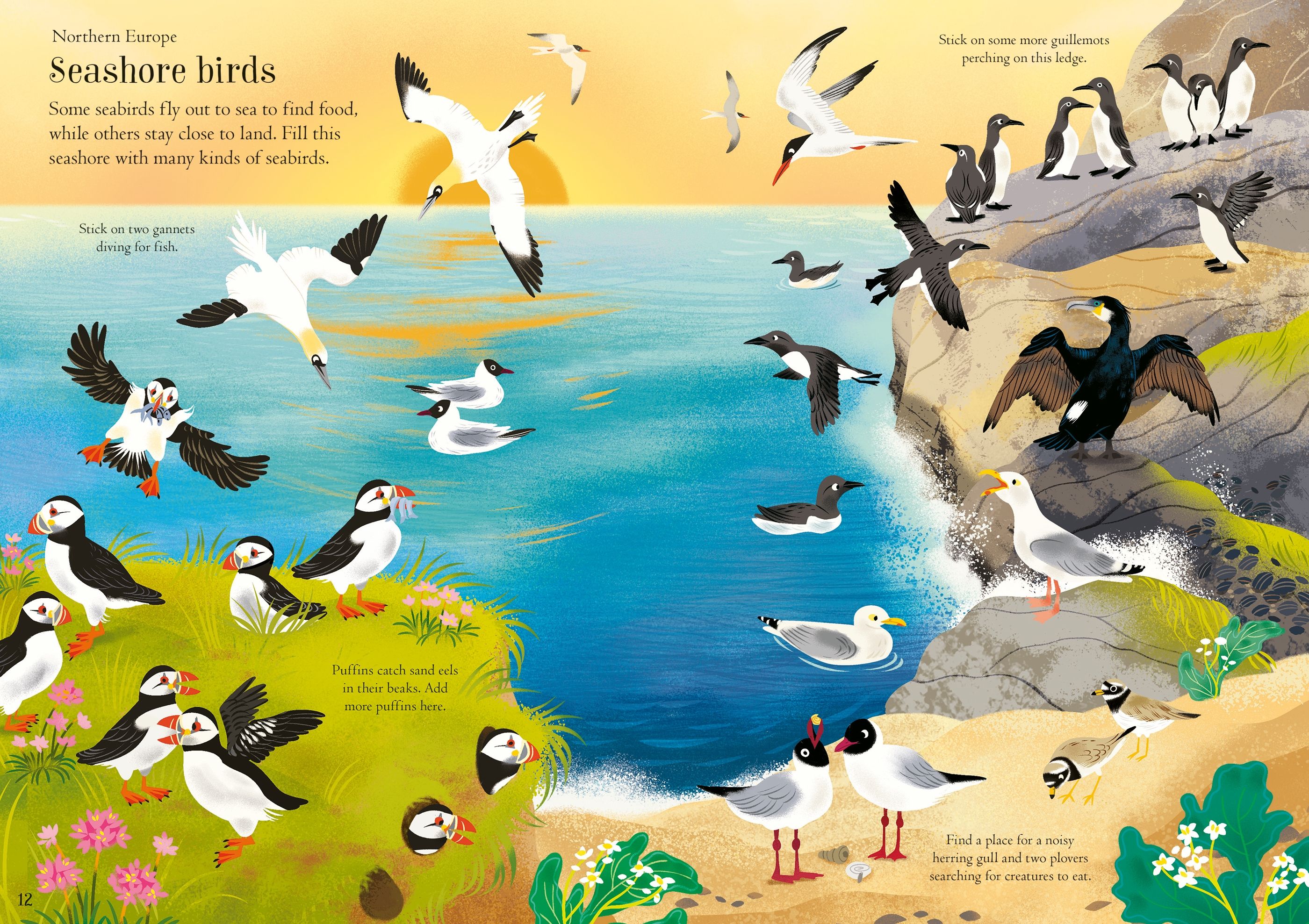 Usborne Little First Stickers Birds