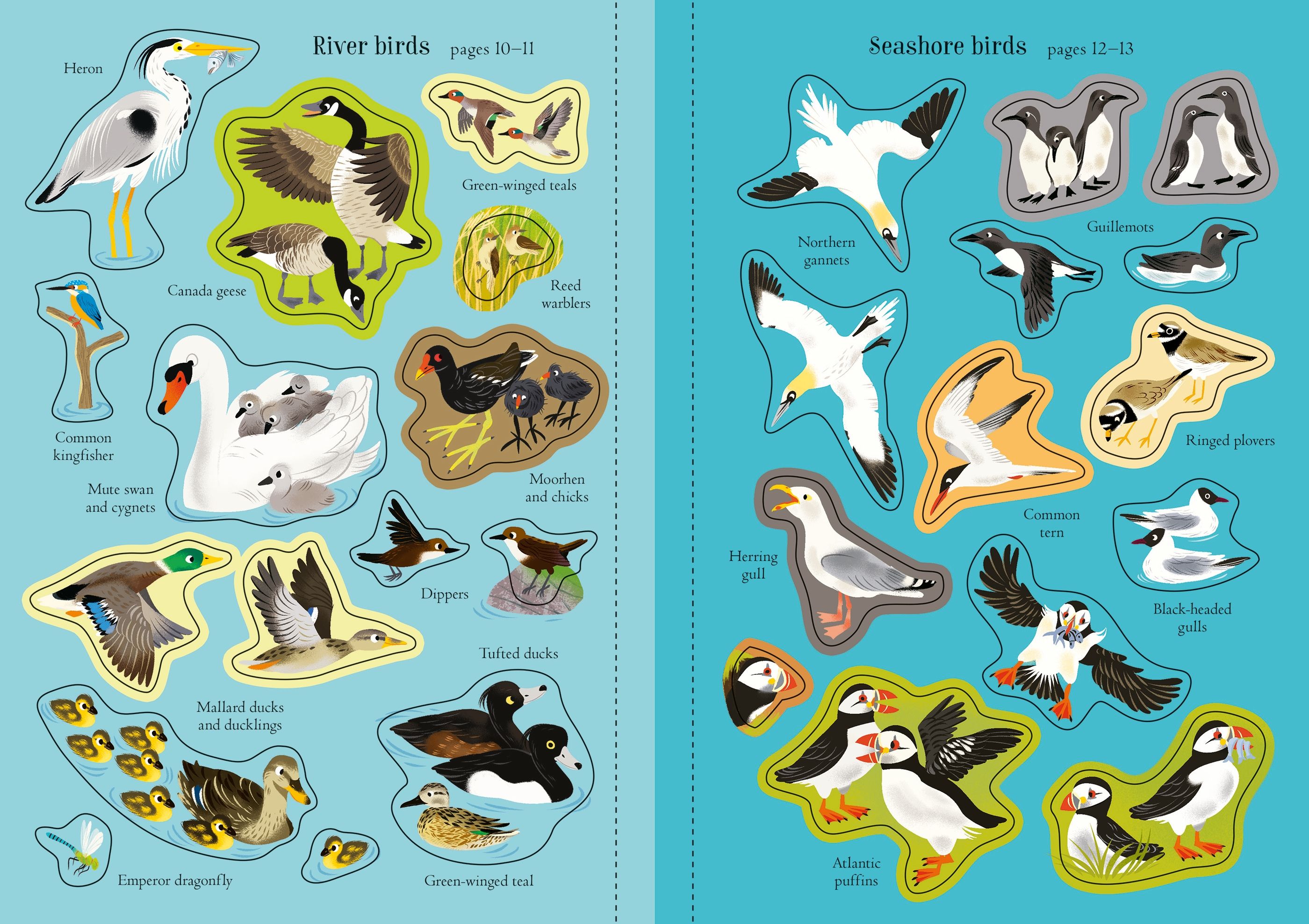 Usborne Little First Stickers Birds