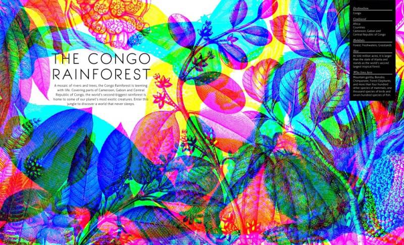 Illuminature: See 3 Images In 1