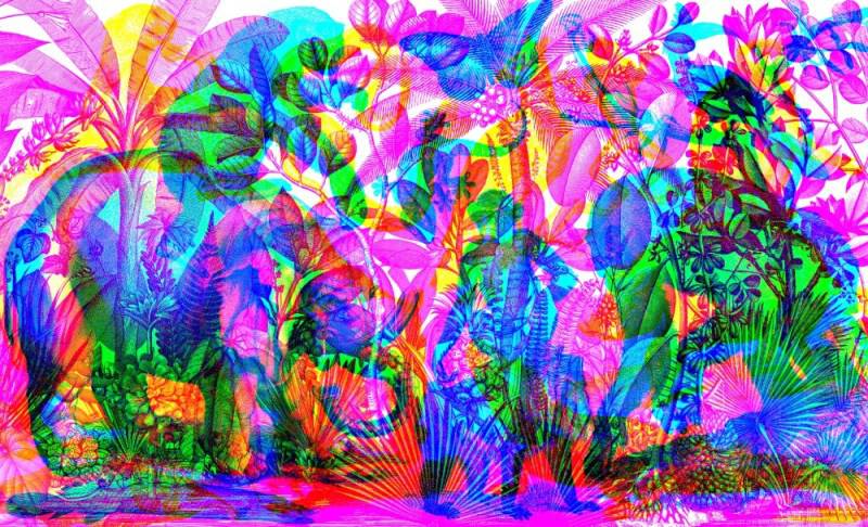 Illuminature: See 3 Images In 1