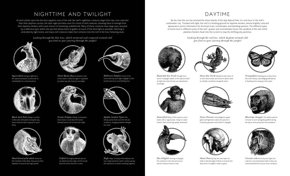 Illuminature: See 3 Images In 1