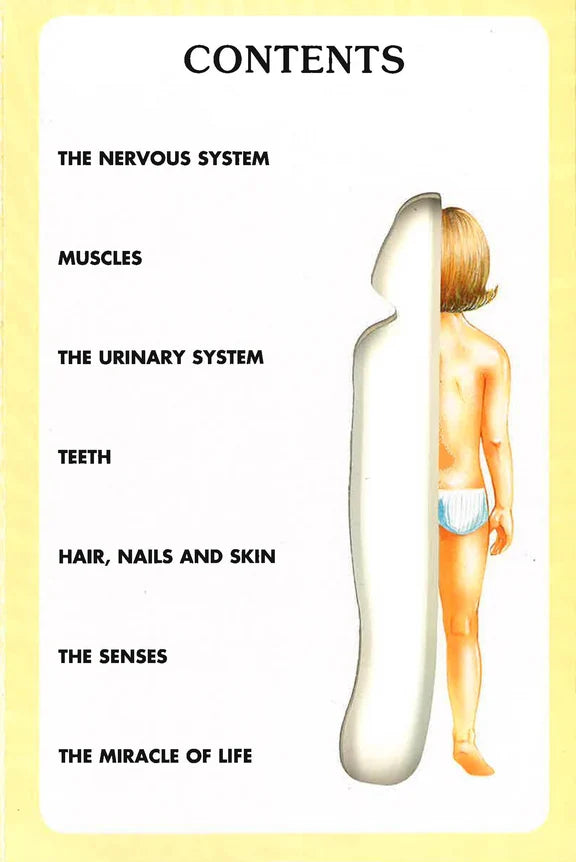 My First Book Of The Human Body