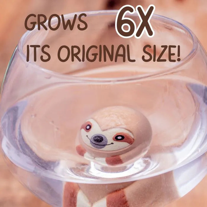 Boxer Gifts Grow A Sloth