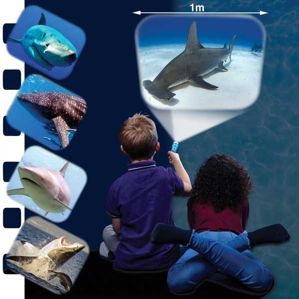 Brainstorm Torch & Projector: Shark