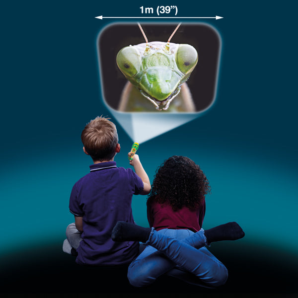 Brainstorm Torch & Projector: Natural History Museum Creepy Crawly
