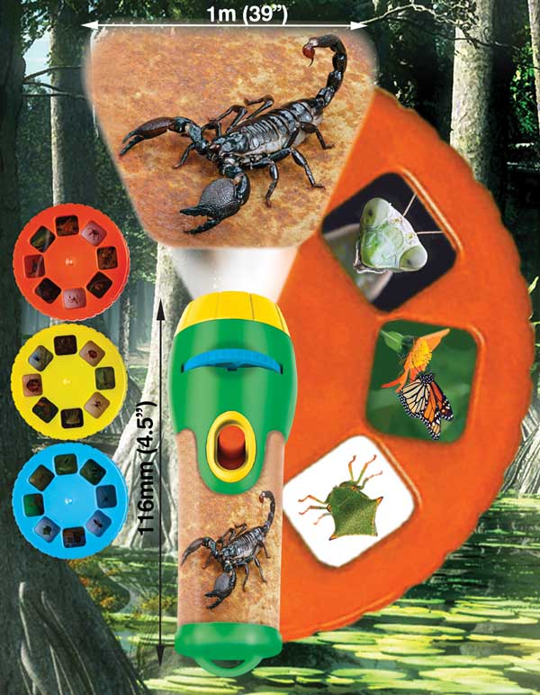 Brainstorm Torch & Projector: Natural History Museum Creepy Crawly