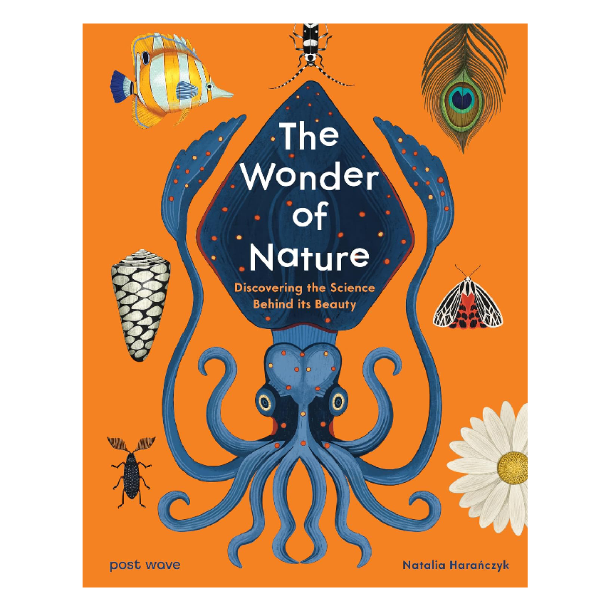 The Wonder Of Nature