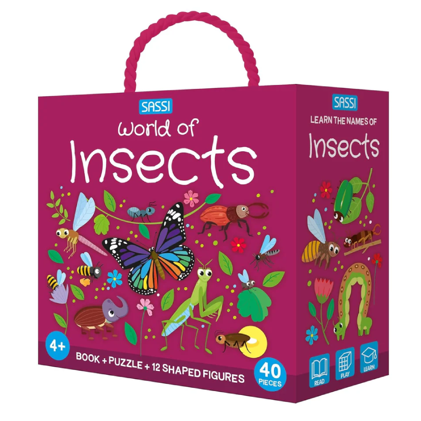 Q-Box: Insects