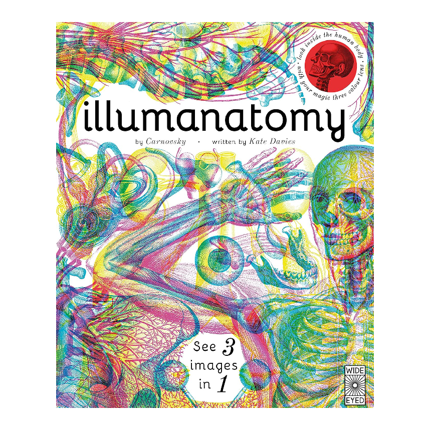 Illumanatomy