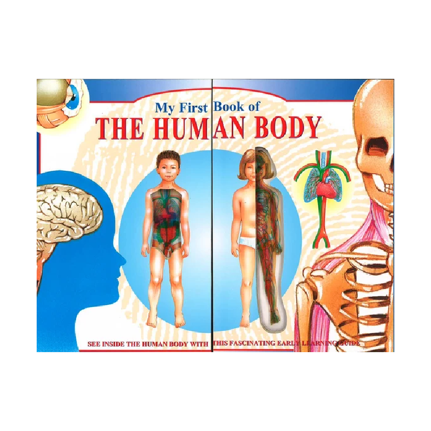 My First Book Of The Human Body