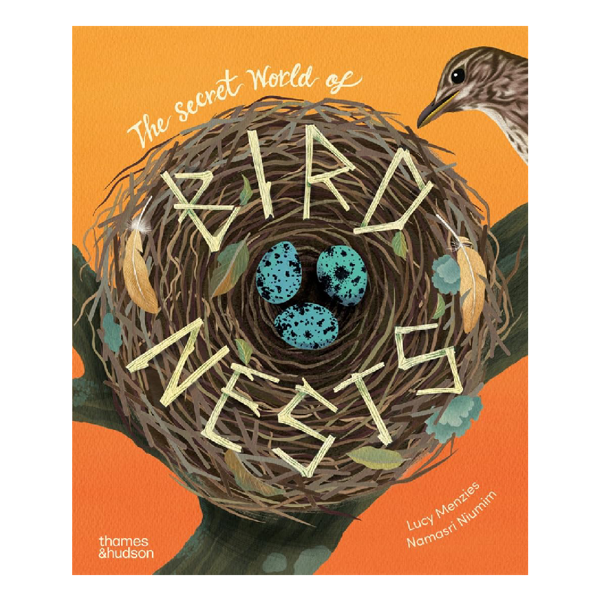 The Secret World Of Bird Nests