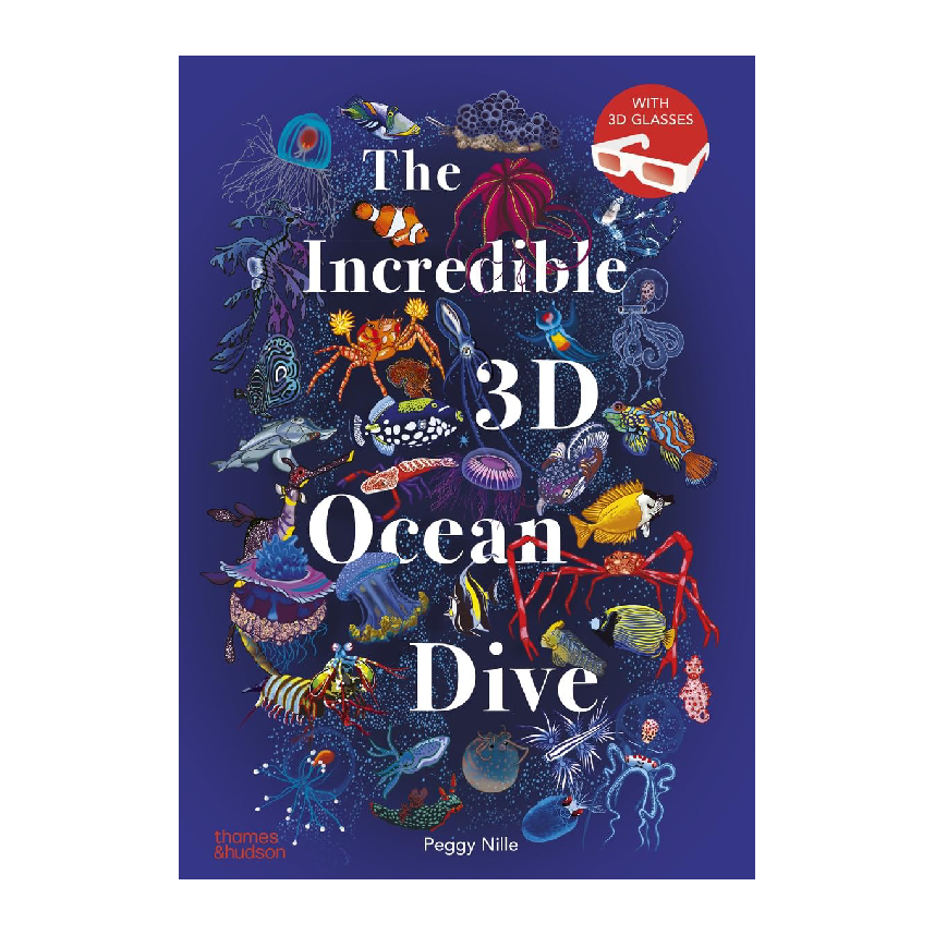 The Incredible 3D Ocean Dive