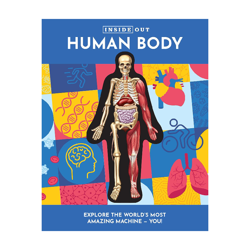 Inside Out: Human Body