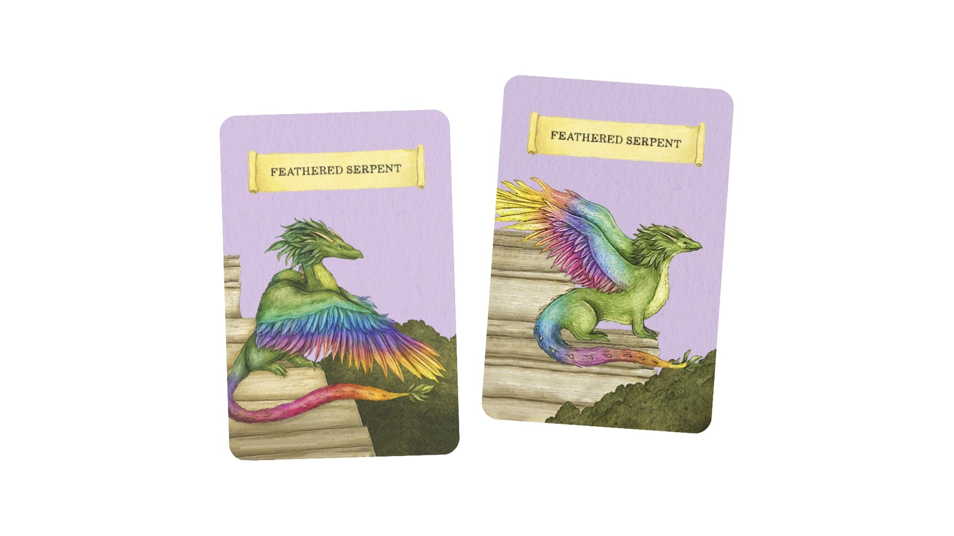 Discover the Dragons