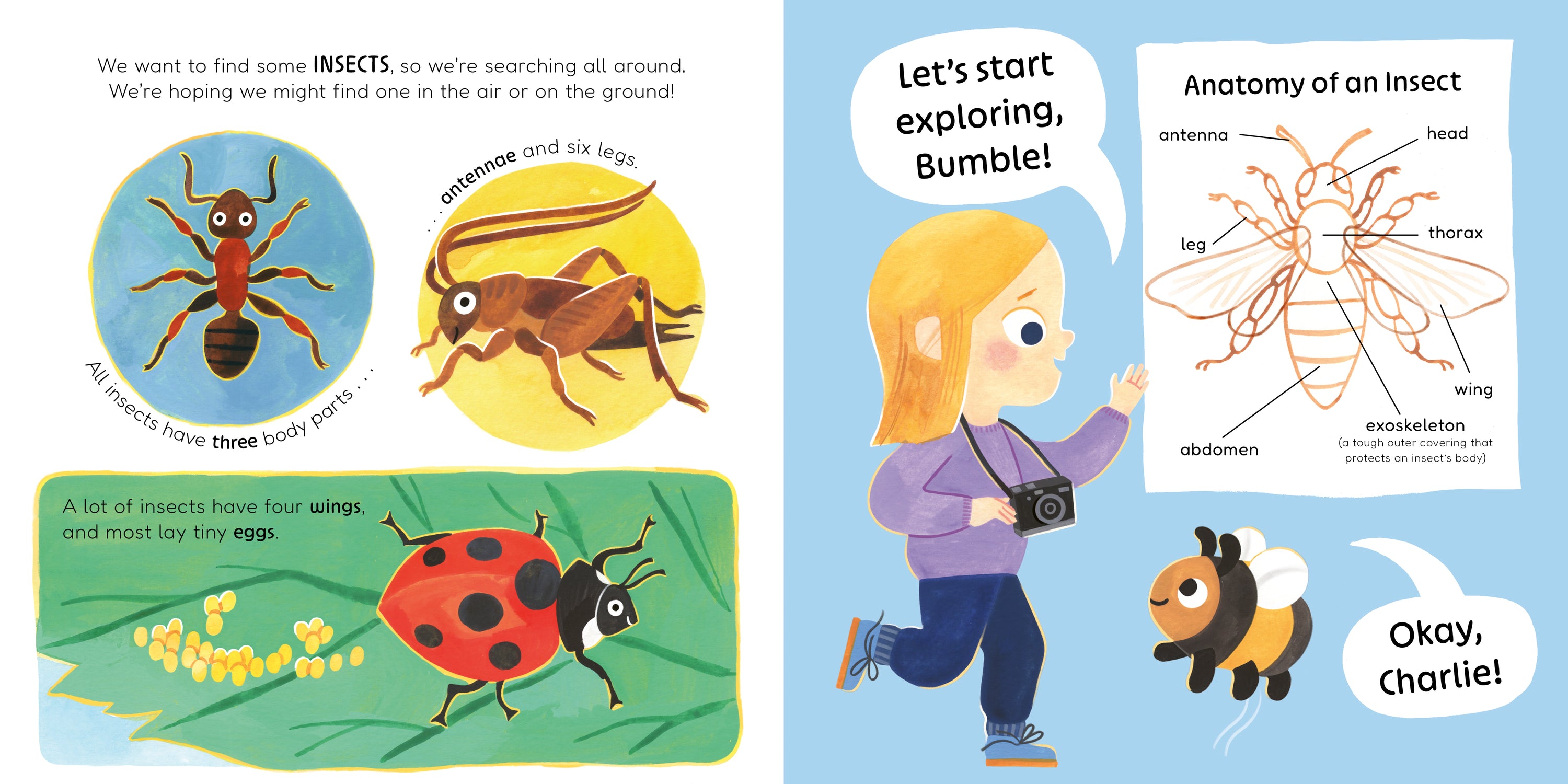 Dont Call Me An Insect!