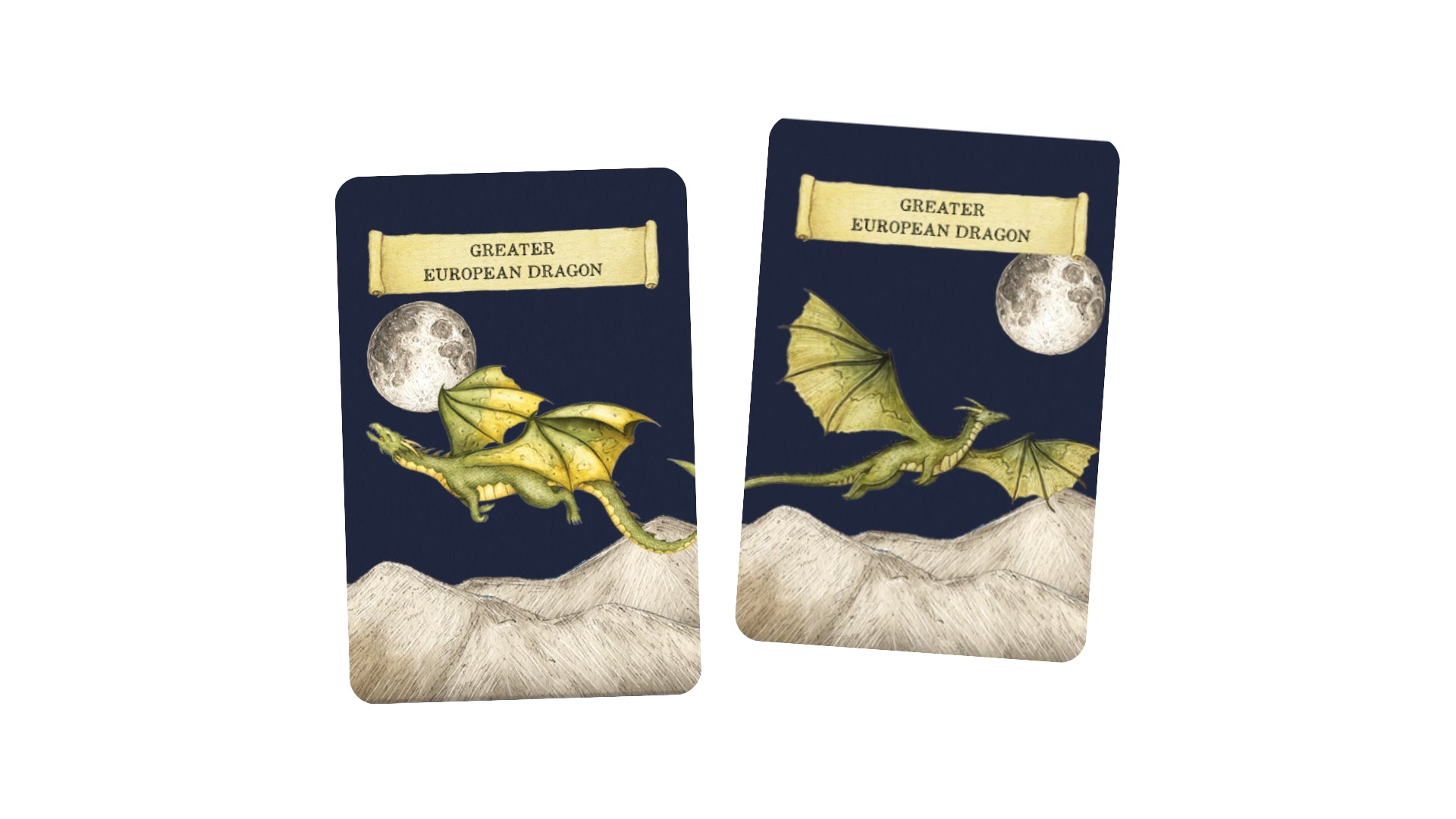 Discover the Dragons