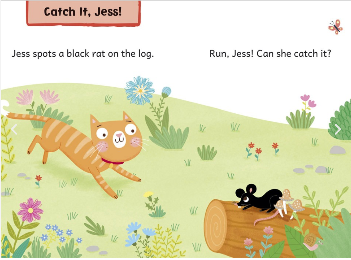 Maverick Early Reader Red (Level 2): Catch It, Jess! & Cat Nap