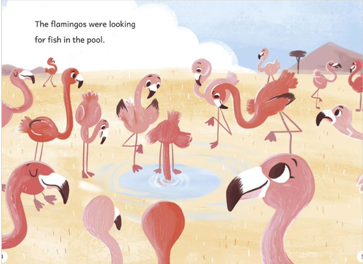 Maverick Early Reader Yellow (Level 3): The Flamingo Flap