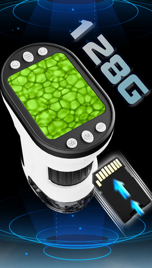 Microscope (Digital)